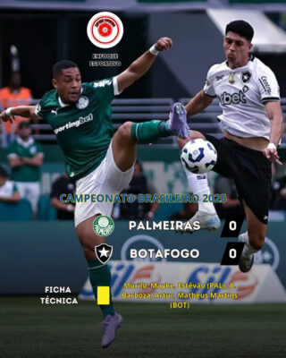 Palmeiras decepciona e só empata em casa