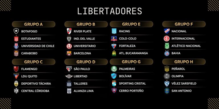 Favoritos da Libertadores 25
