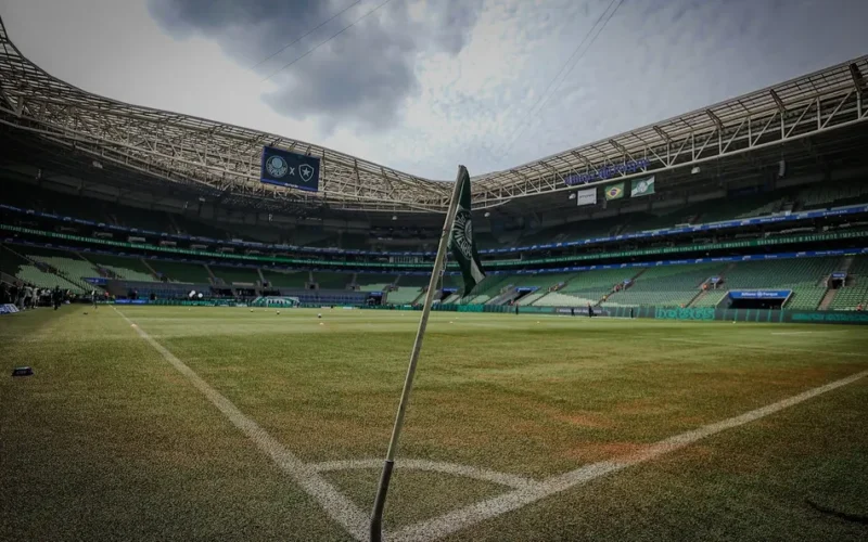 Palmeiras decepciona e só empata em casa